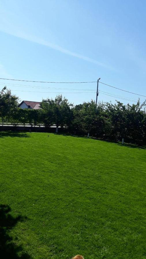 Vila Alexa Costinești Exterior foto